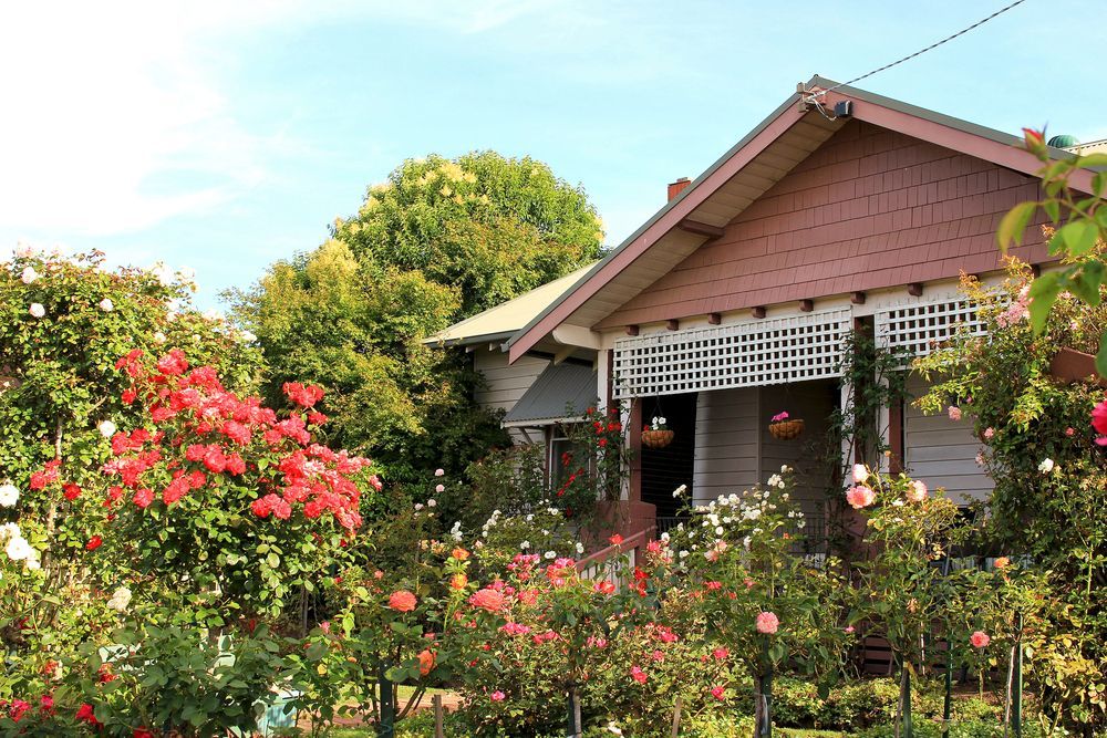 A Garden Edge With A Black Mailbox — Alex's Vegetation in Port Macquarie, NSW