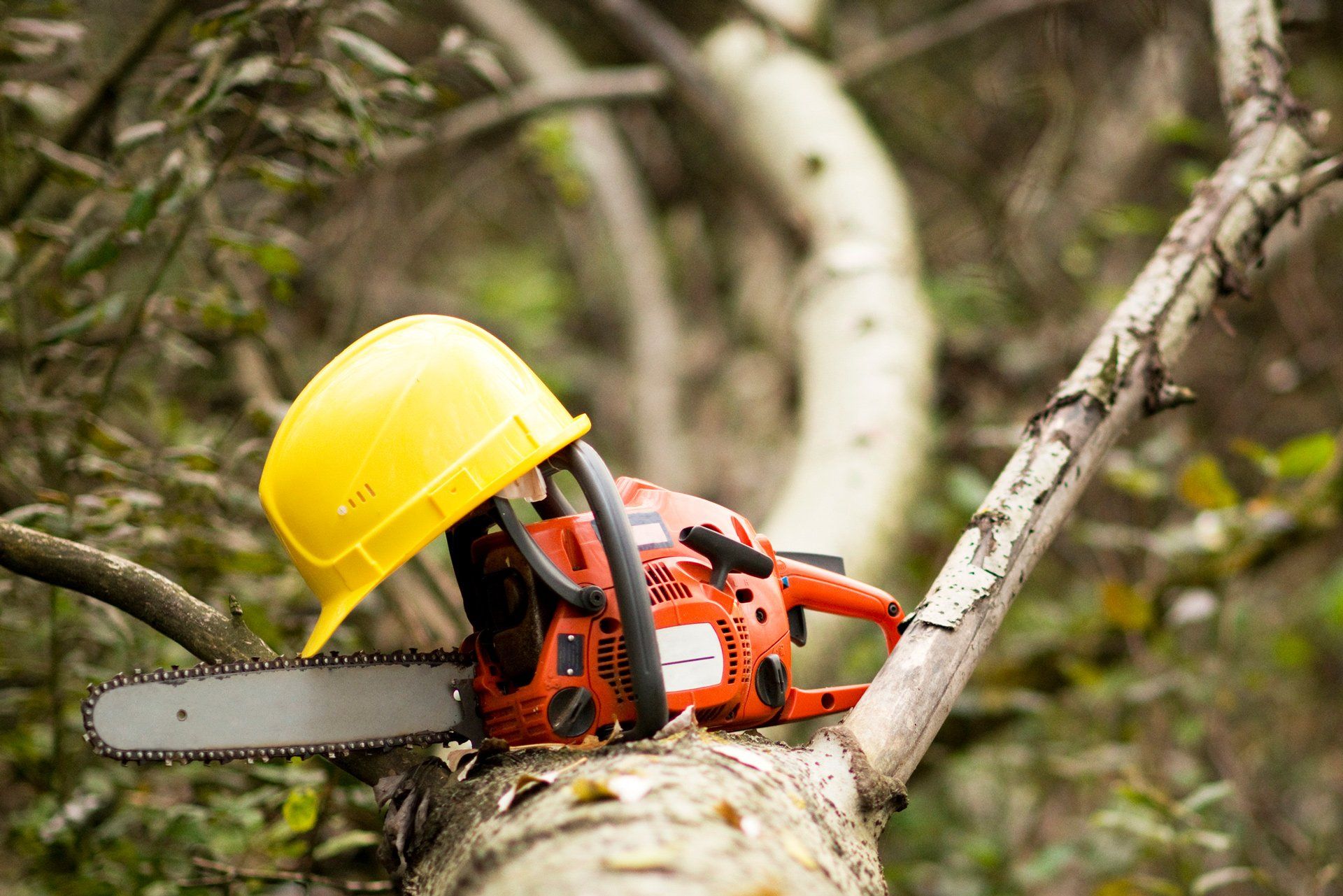 Equipment for Cutting Trees — Atlanta, GA — Yellow Ribbon Tree Experts