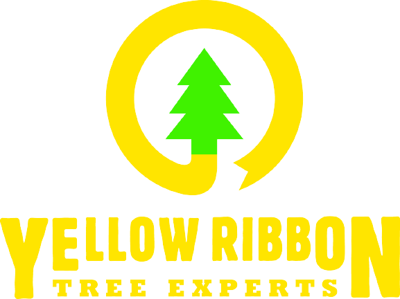 Yellow Ribbon Tree Experts