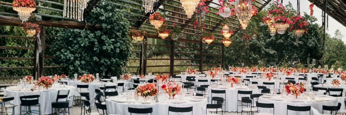 DMC Los Cabos design the perfect program in Suelo Sur