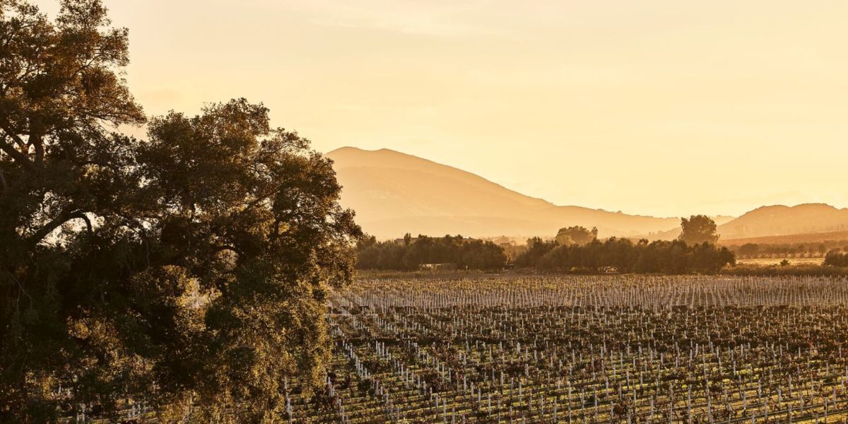 Mexico’s tourism story continues to expand beyond its iconic beach destinations.