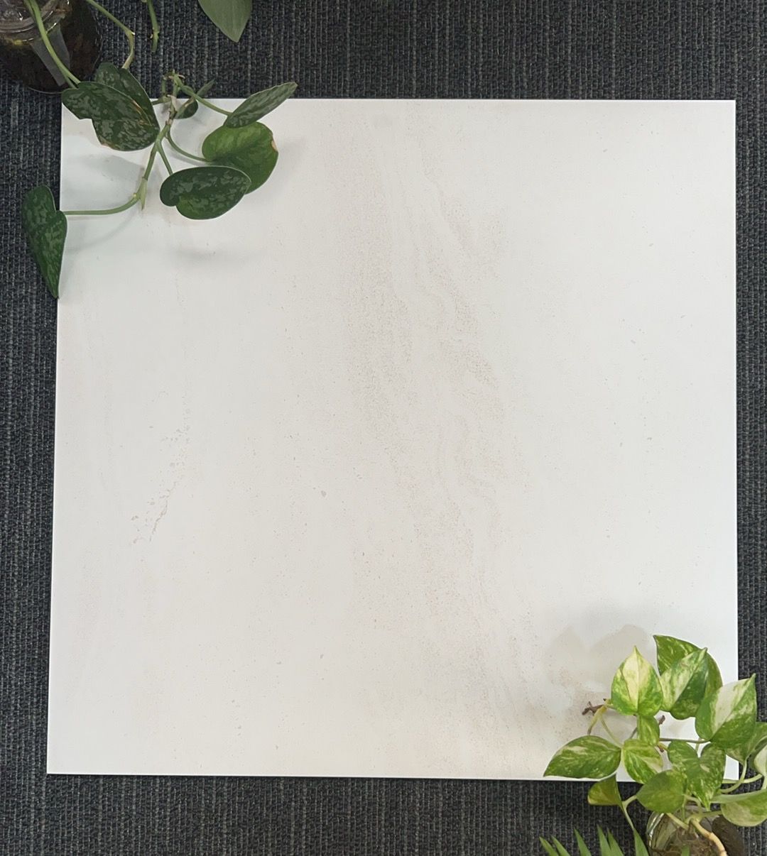 Argyle Stone Pattern AMG1