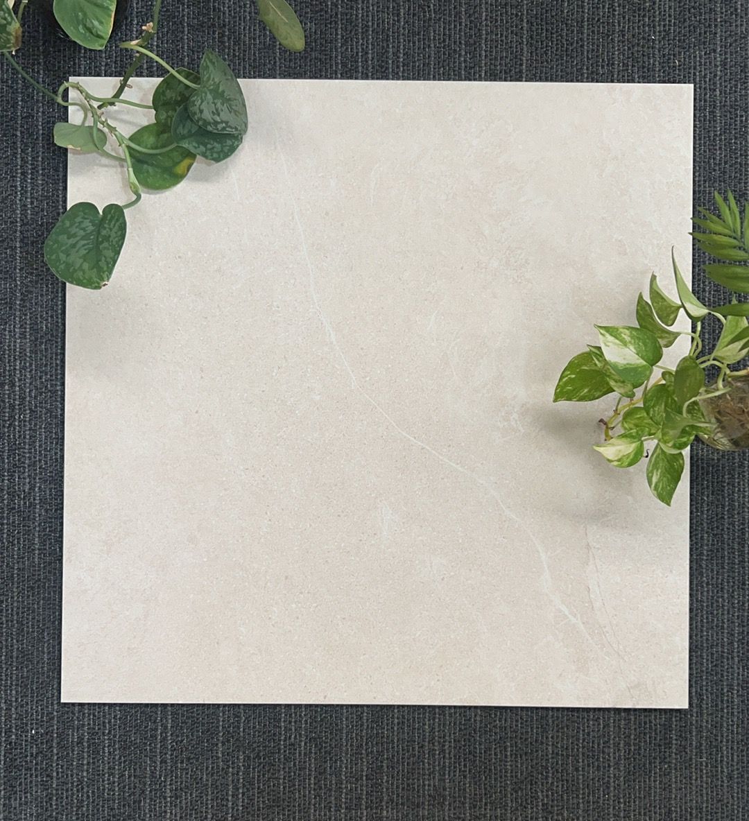 60X60CM Crest Dune SmoothGrip. $43.95 M2