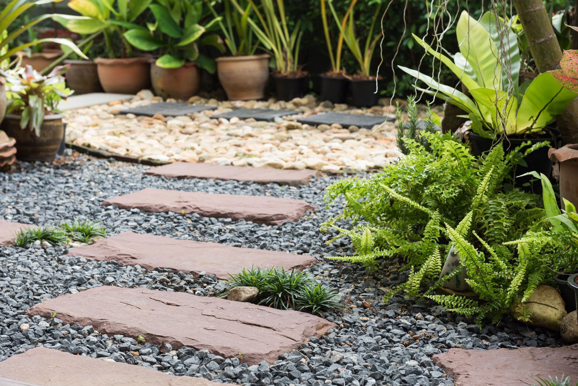 Garden path with stepping stones, dark gravel, and lush potted plants on both sides