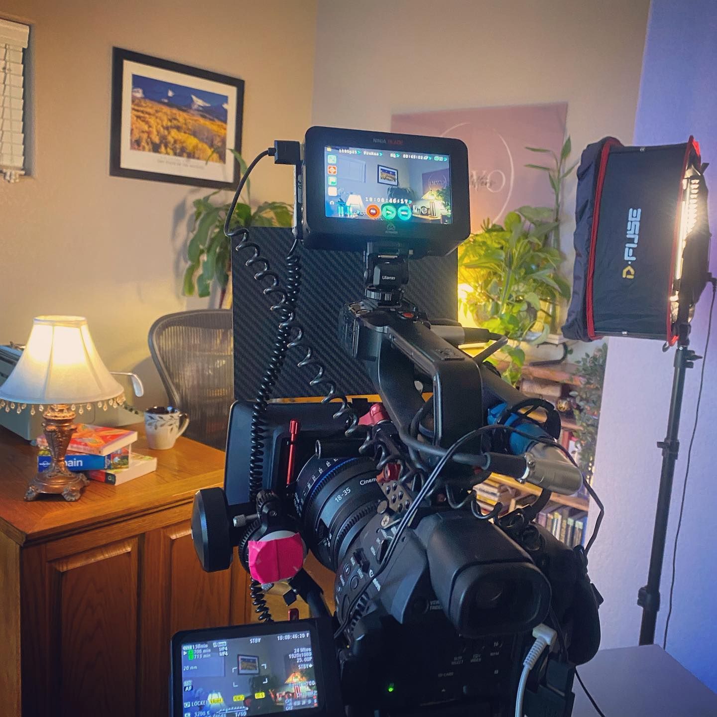 Video camera setup in a home office with a monitor, light, and plants.