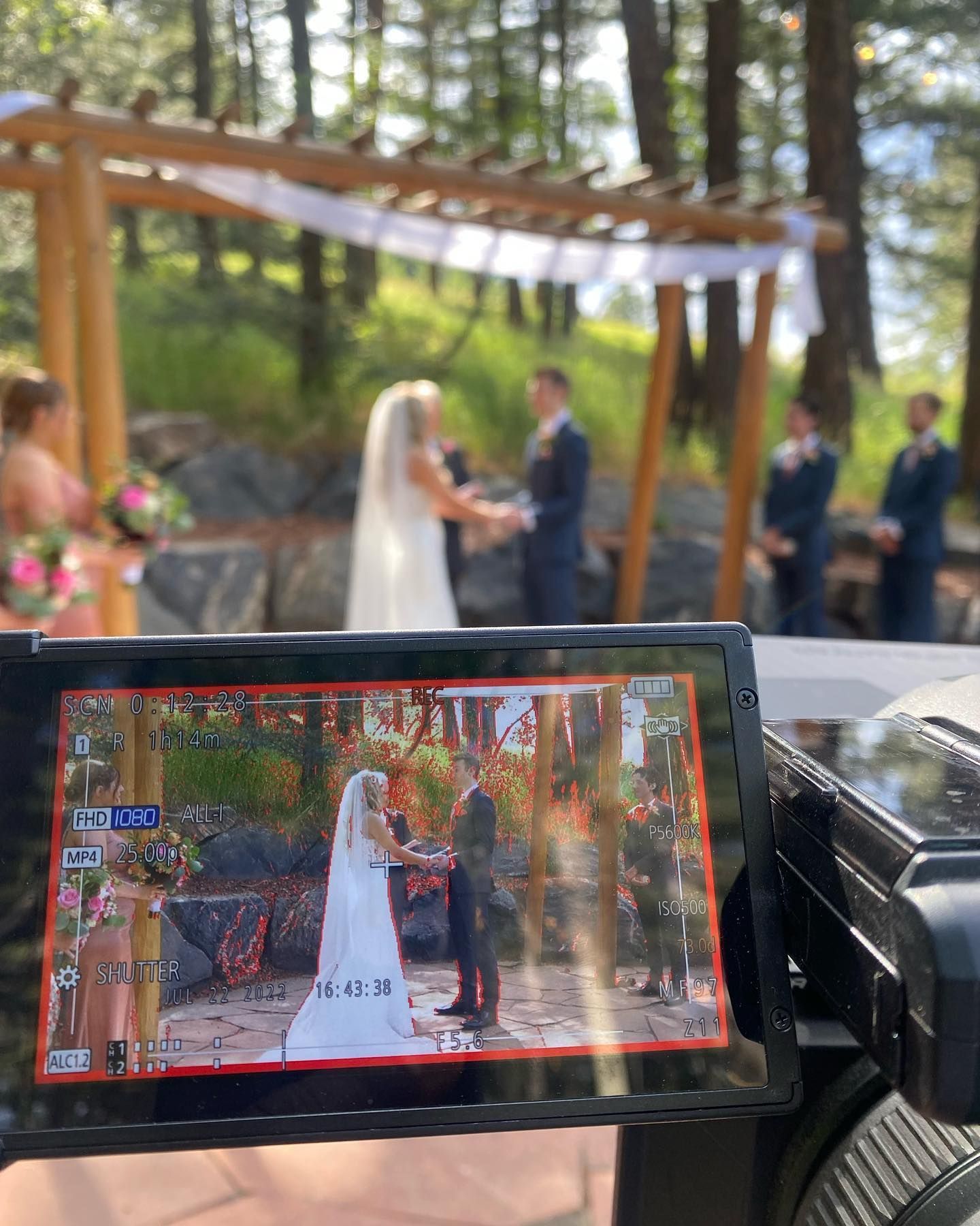 Wedding ceremony: Bride and groom exchanging vows under wooden arbor in a forest setting; video camera captures the moment.
