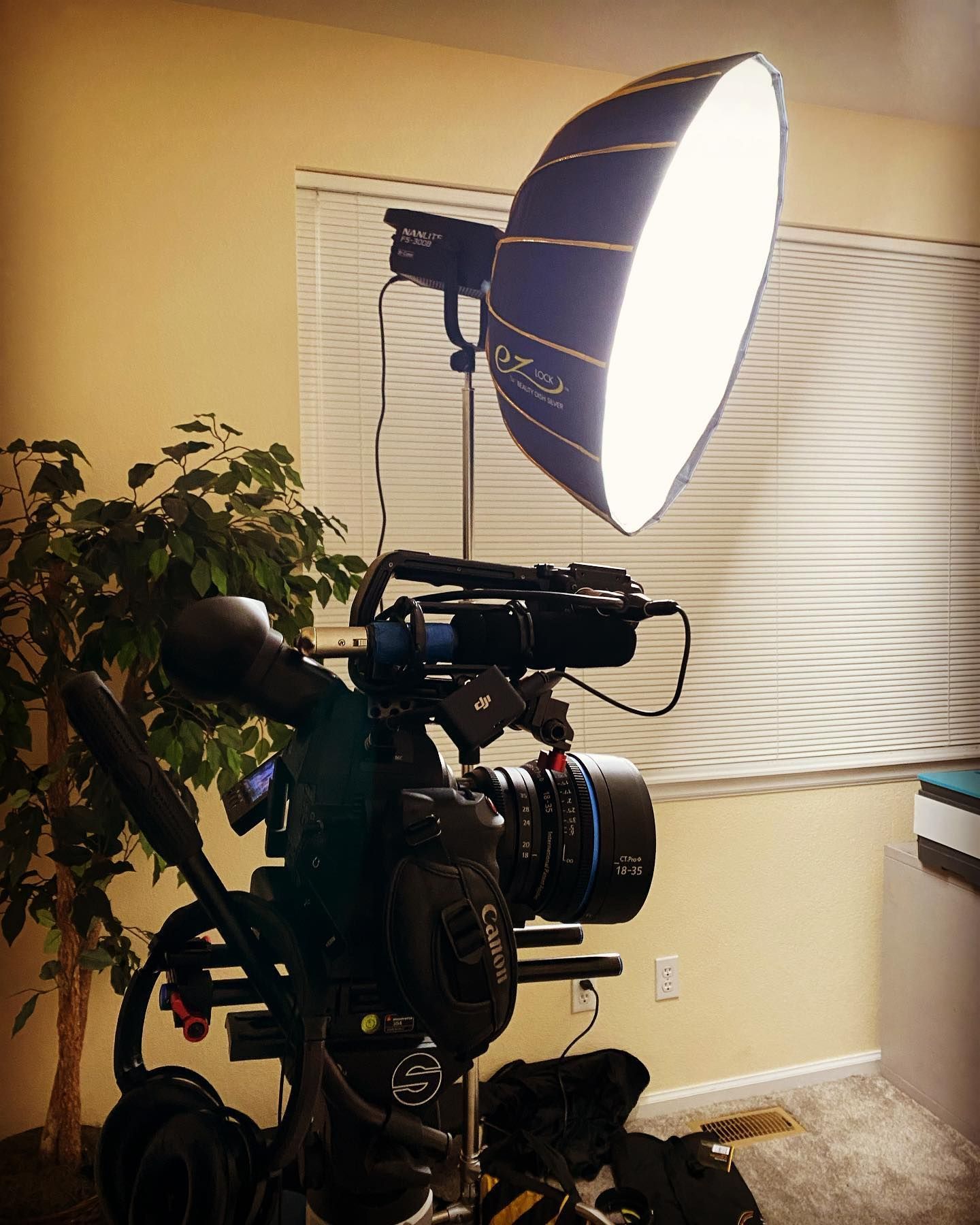 Video camera on tripod with attached light. Indoors, next to a small plant and window blinds.