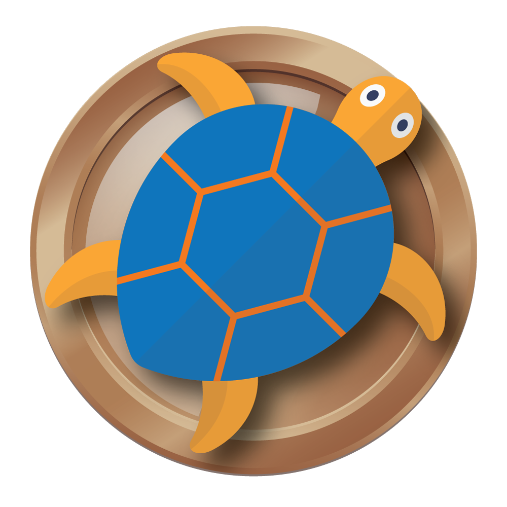 Turtle Bronze — KICK Swim Centre