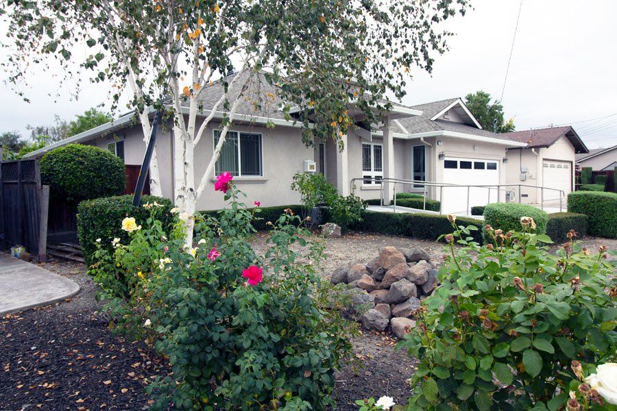 driveway with flowers