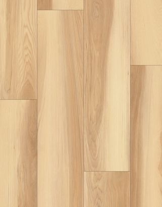 SKU#: V07801 / V07501