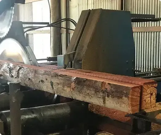 A mechanical saw is cutting a piece of wood in a factory — Machin's Sawmill Pty Ltd In Wingham, NSW