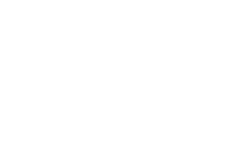 Buerck Wallscapes Inc
