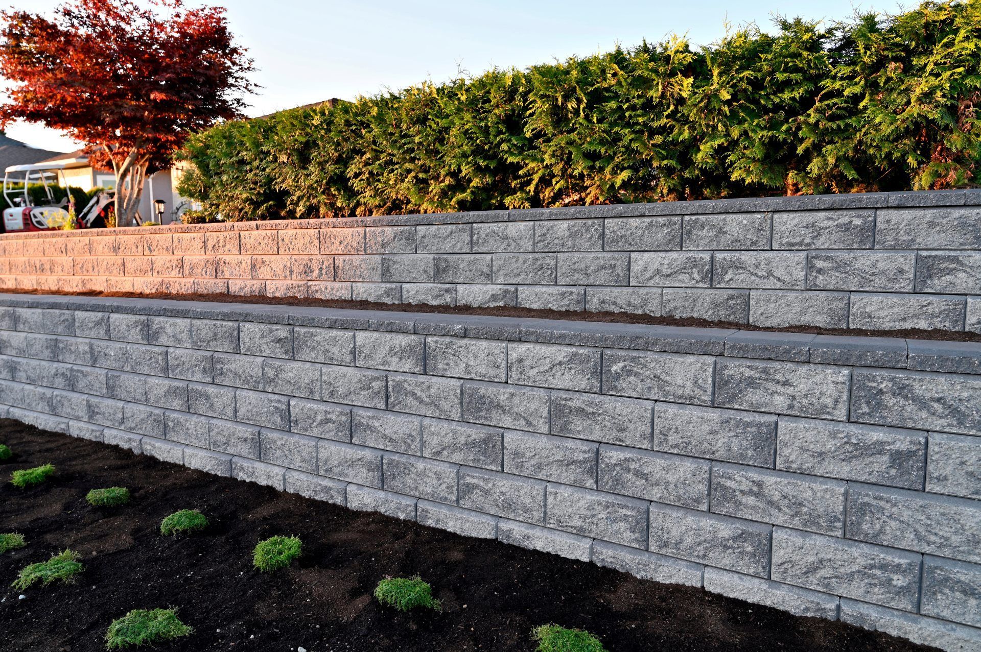 A tiered gray stone retaining wall in front of a hedge and a tree with red leaves, with small plants in dark soil below.