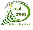 Irish Christmas Tree Growers