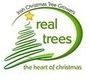 Irish Christmas Tree Growers