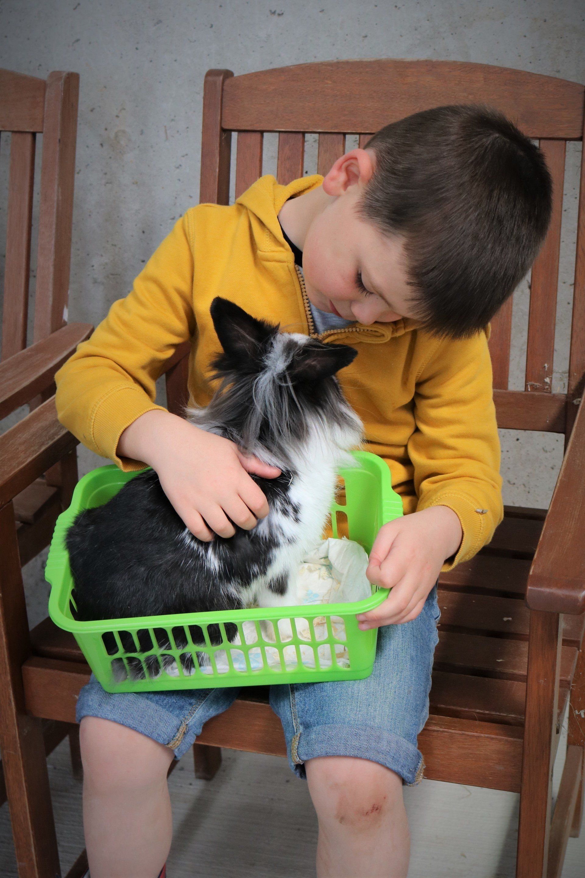 Boy at Laganvale Farm with Animal