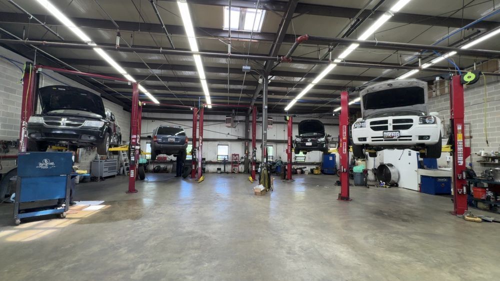 A wide-angle view of an auto repair shop featuring four vehicles lifted on red hydraulic hoists under bright ceiling lights.