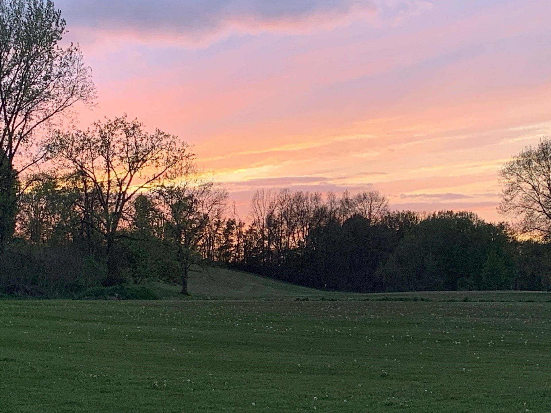 A sunset over a grassy field with trees in the background.