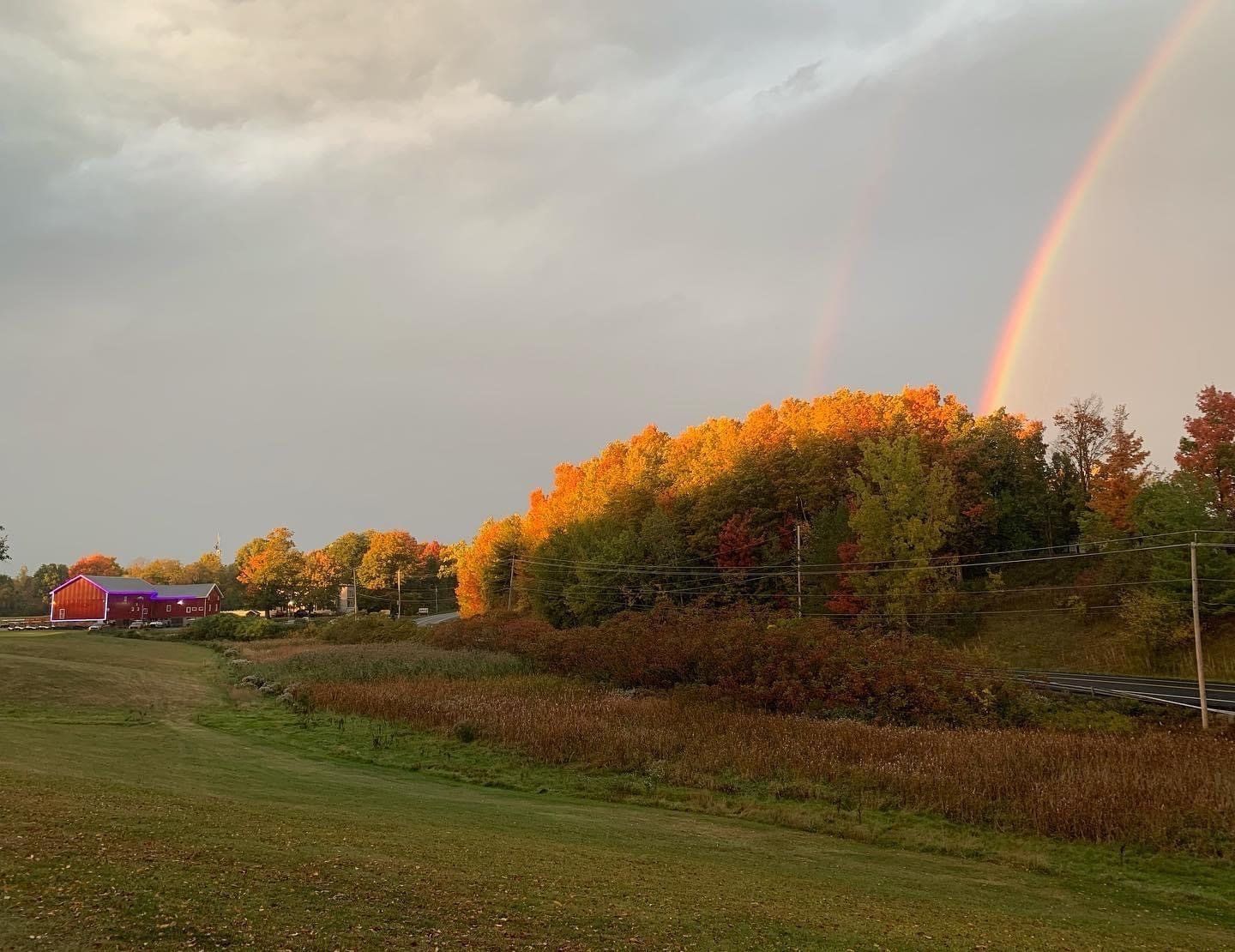 A rainbow is visible over a field with trees in the background.