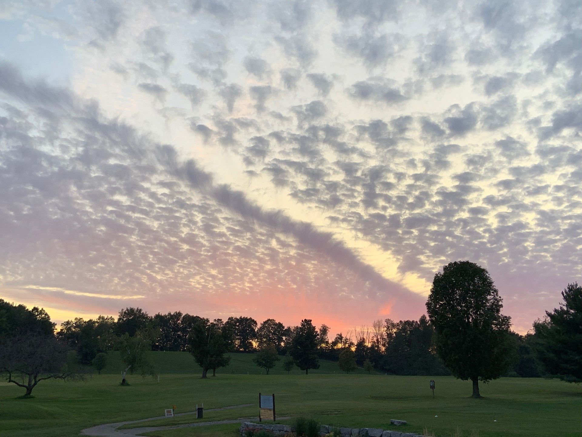 A sunset over a grassy field with trees in the foreground