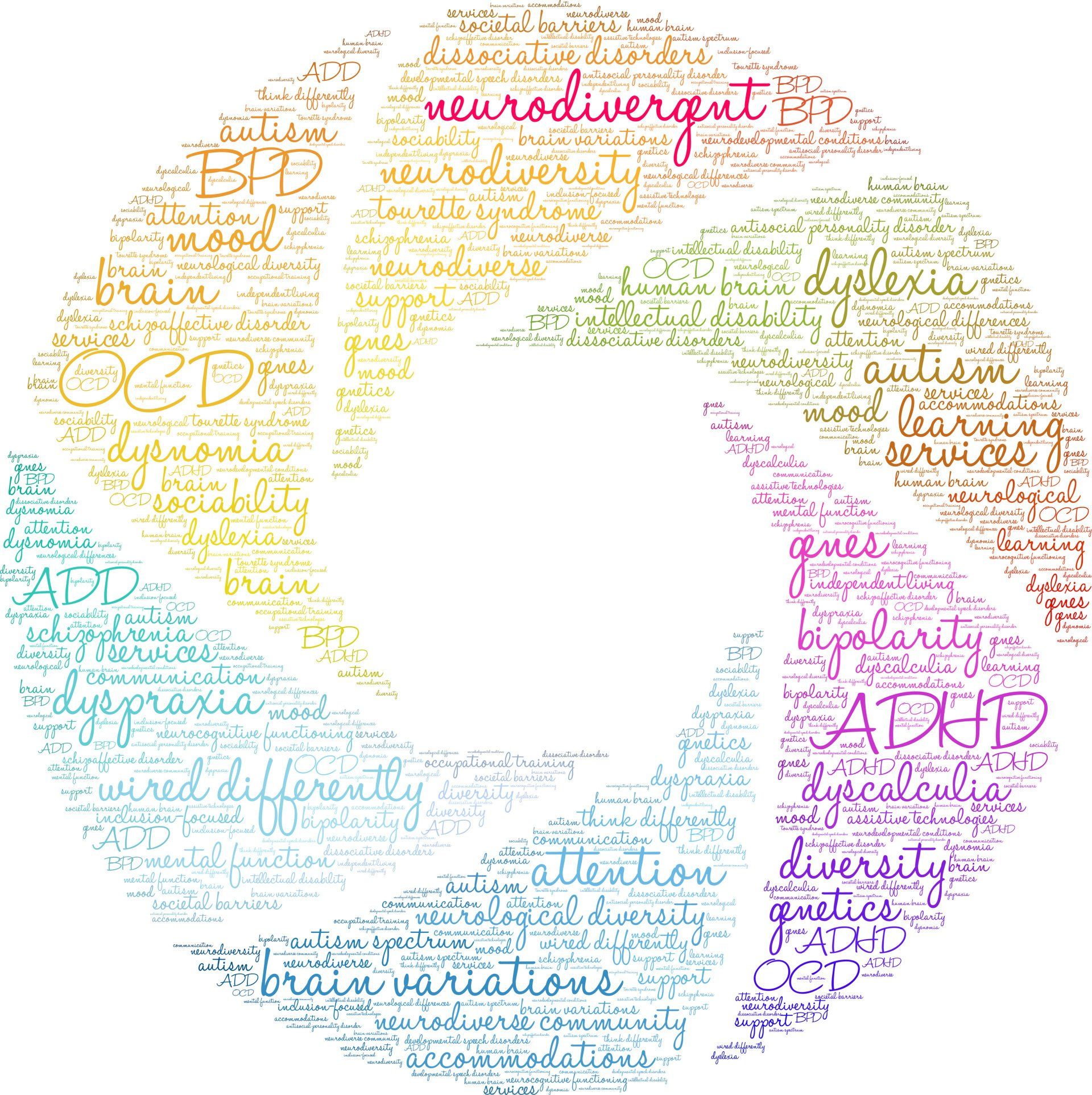 Neurodivergent/ Specialized Programs