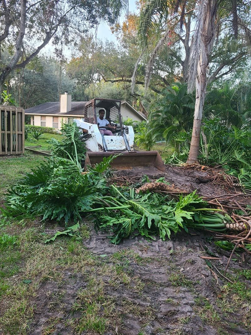 A bulldozer is cutting down trees in a yard.