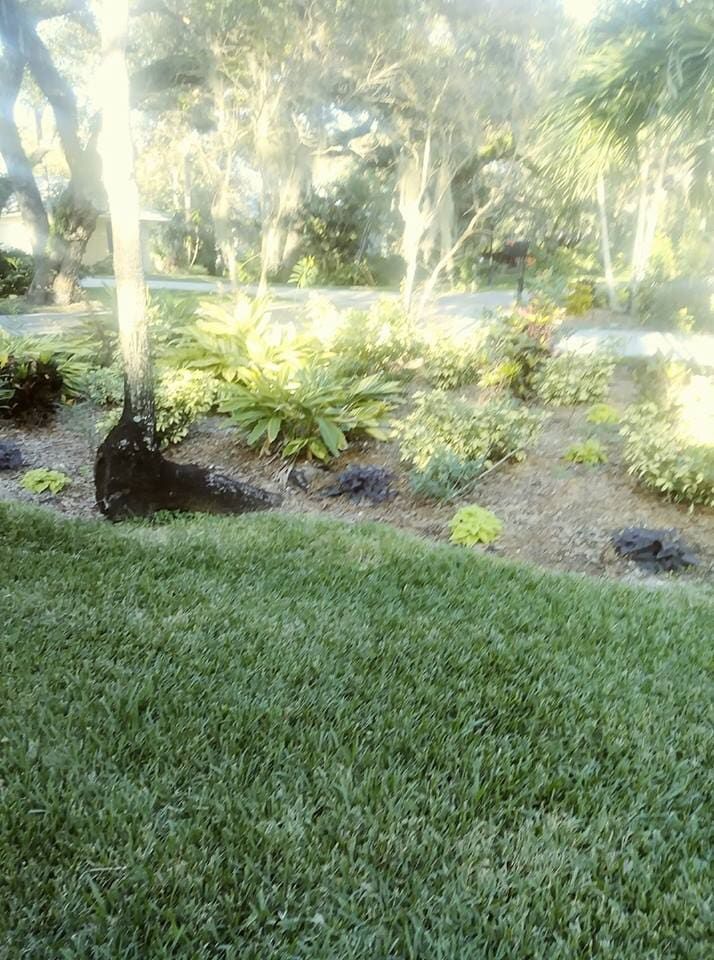 A lush green lawn surrounded by trees and bushes in a park.