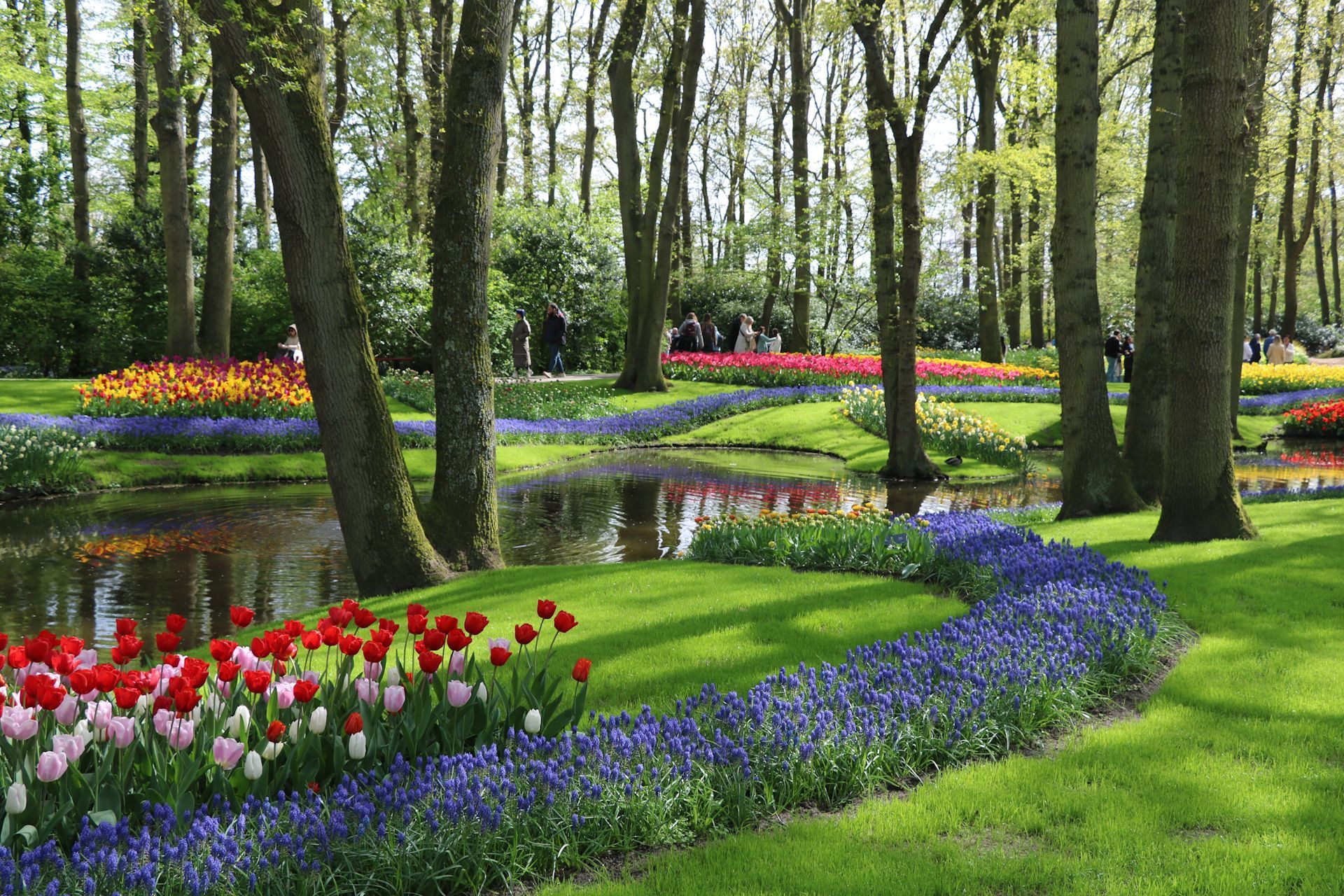 A park filled with lots of flowers and trees