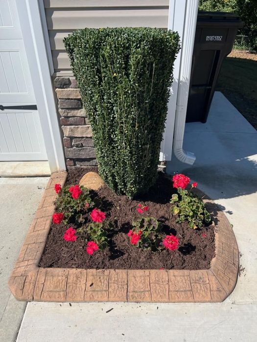 Greenville NC Landscaping