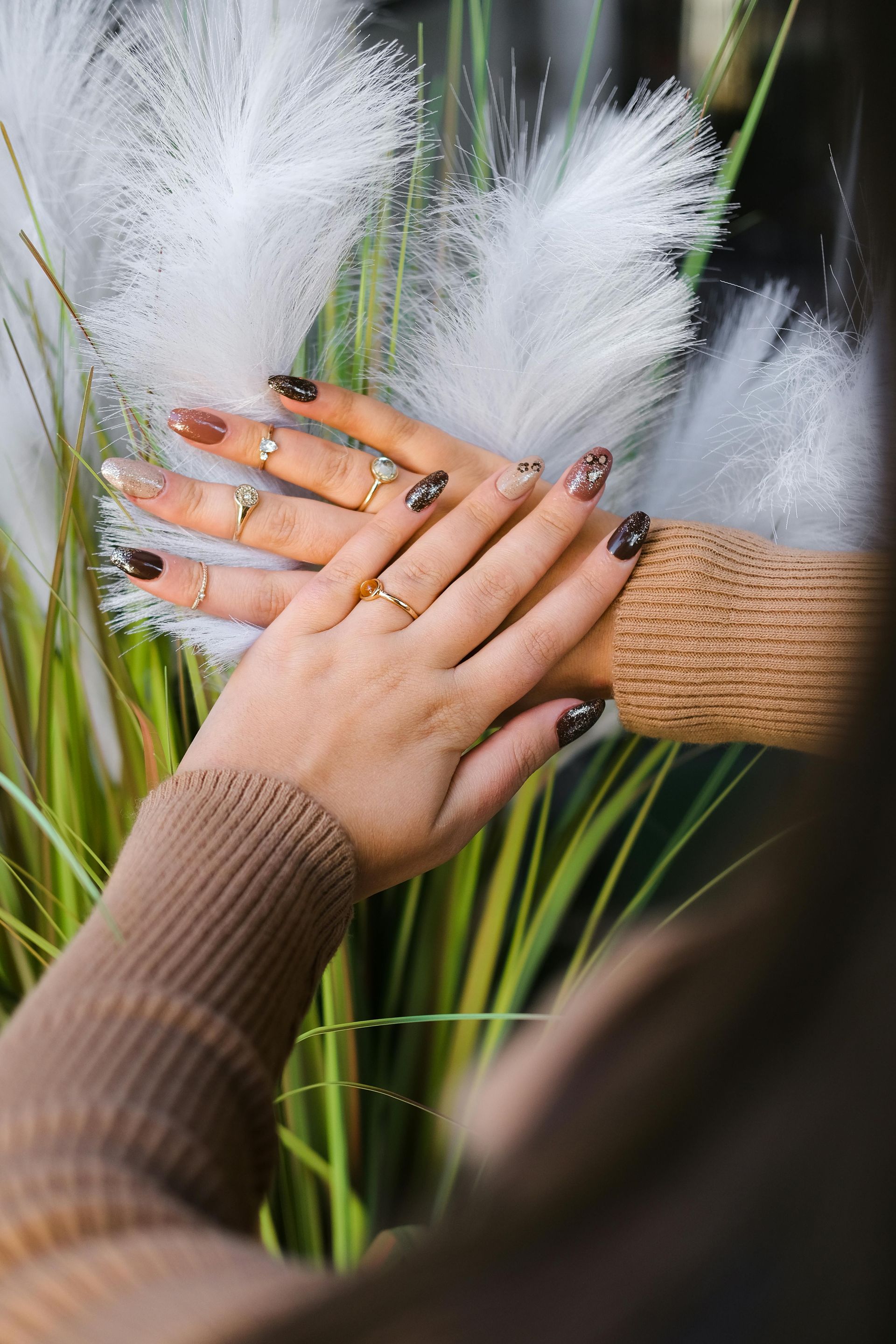 Hands with decorated nails, wearing rings, posed over white fluffy plants, brown sweater sleeves.