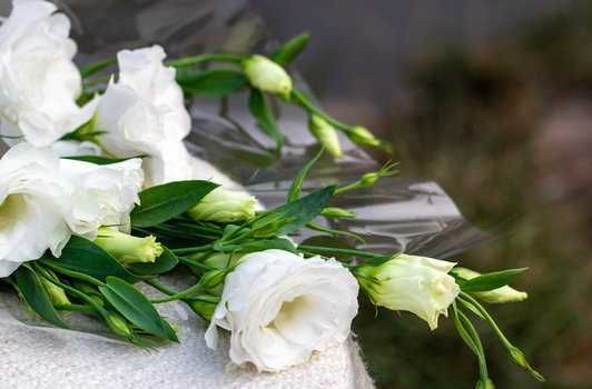 flowers symbolizing pet cremation