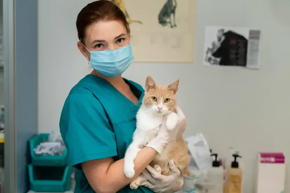 veterinarian