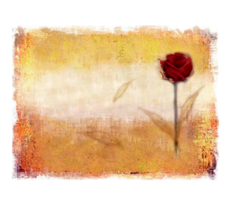 tovaglietta con rosa