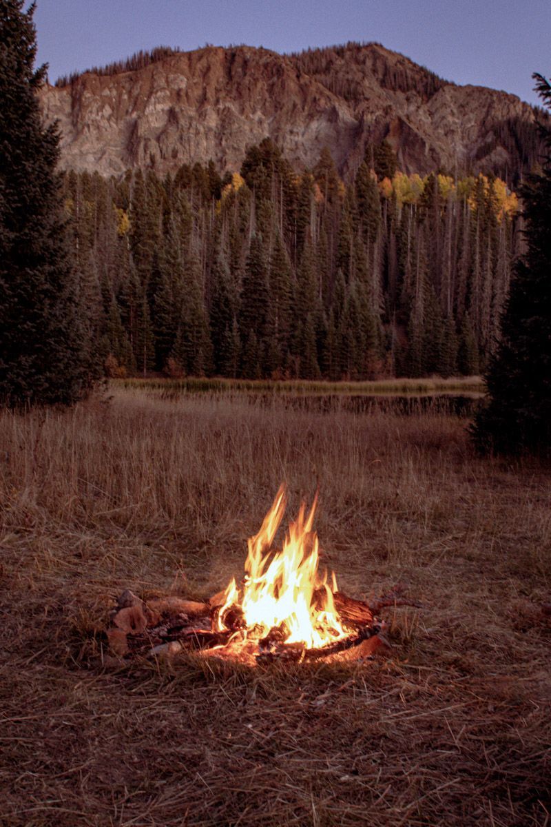Campfire in a grassy field with a forest and mountain in the background, at dusk.