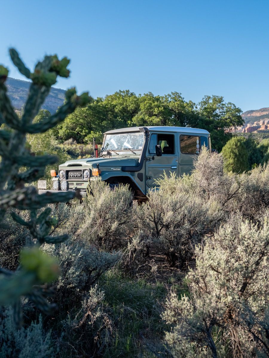 Olive green vintage Land Cruiser navigating desert foliage under a clear blue sky.