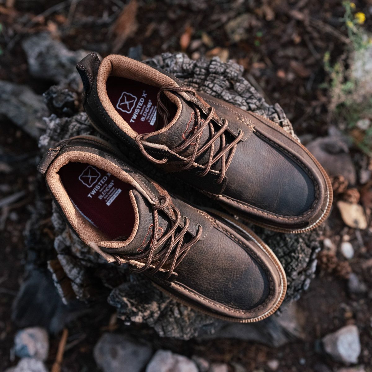 Brown leather Twisted X casual shoes on a weathered tree stump outdoors.
