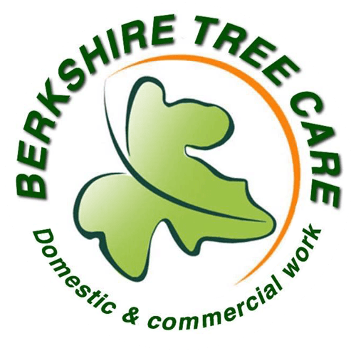 Berkshire Tree Care logo