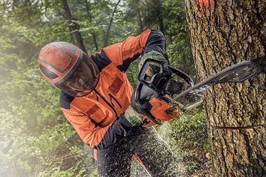 Man using chainsaw while cutting tree in forest.
