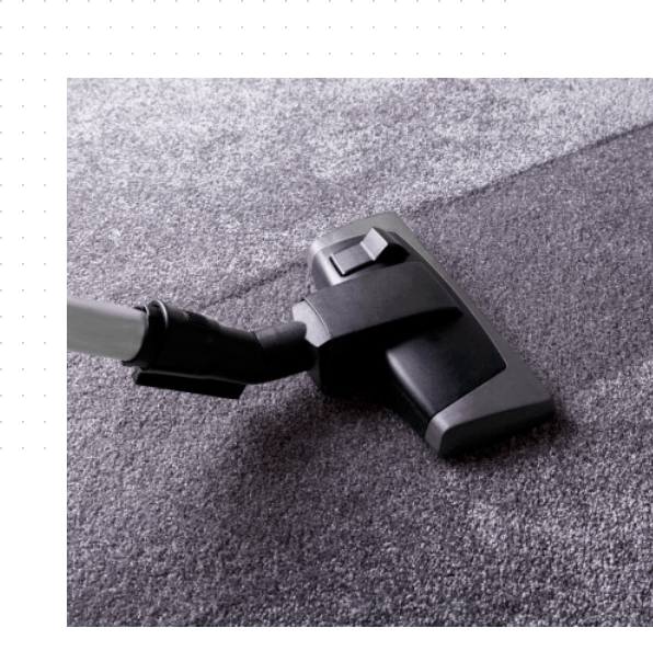 Water damaged carpet cleaning