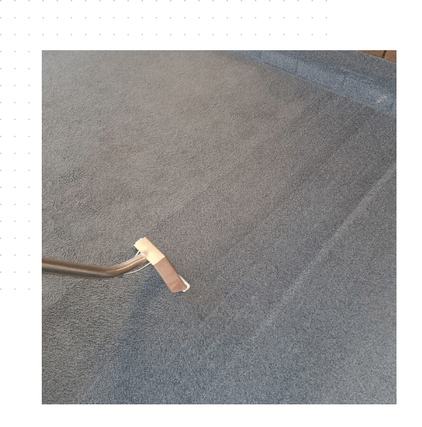 End of lease carpet clean