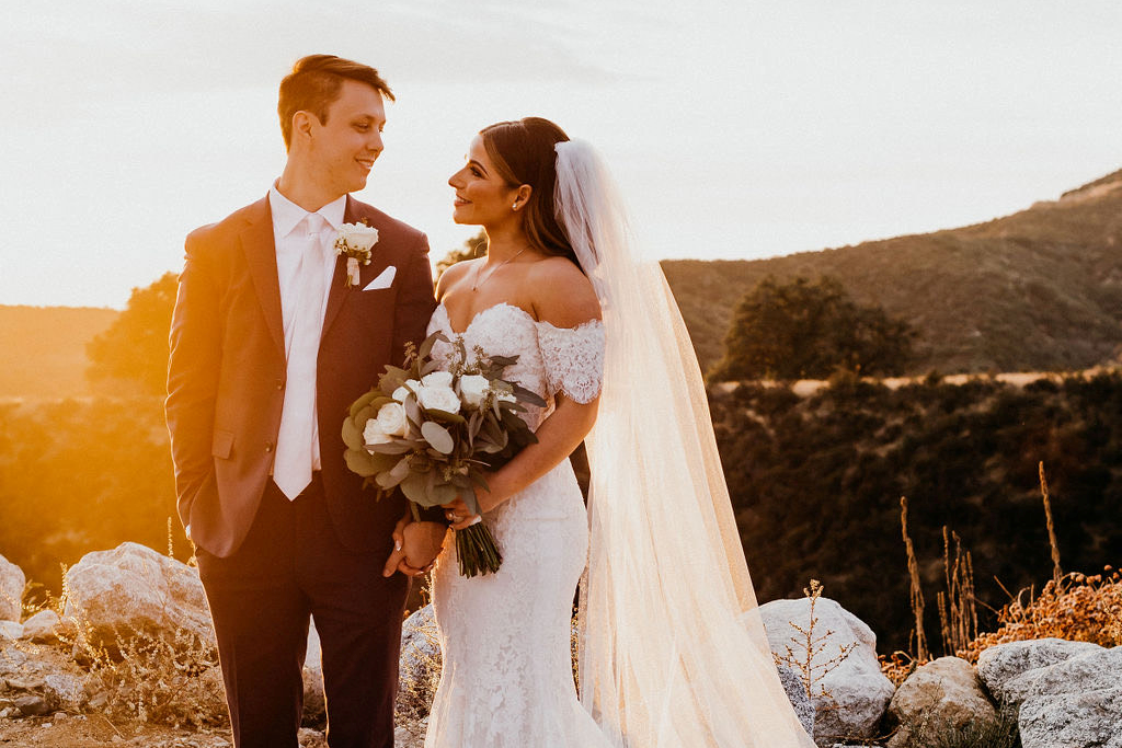 A bride and groom are standing next to each other on top of a hill holding hands.