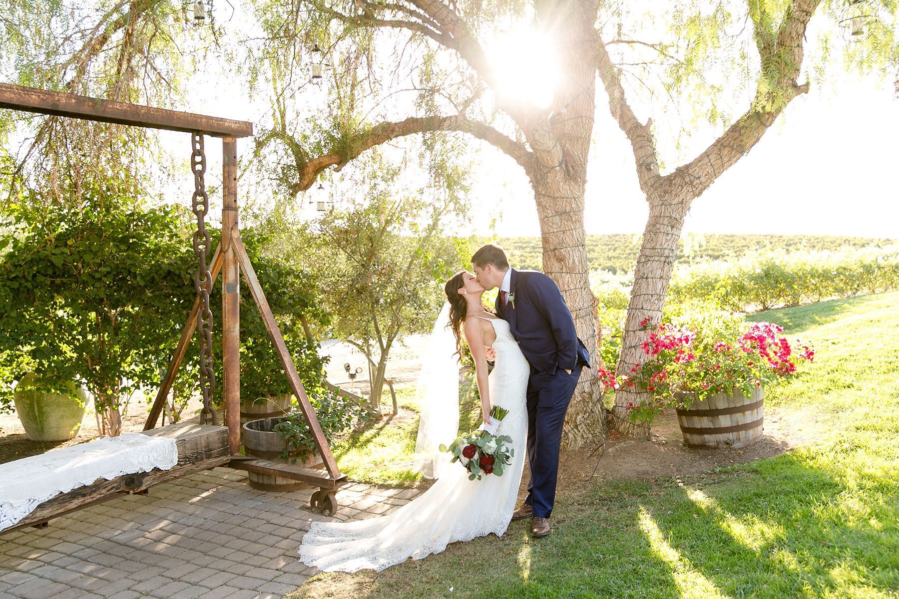A bride and groom are kissing under a tree at their wedding.