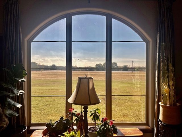 An arched window overlooks a sunny, grassy field, framed by indoor plants, a lamp, and side curtains.