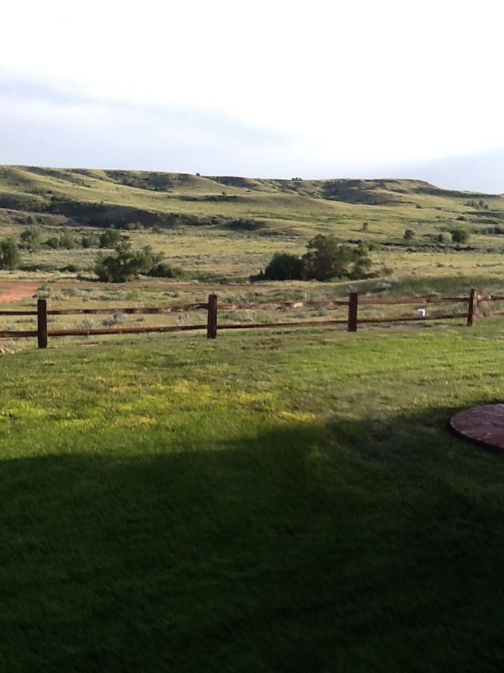pasture