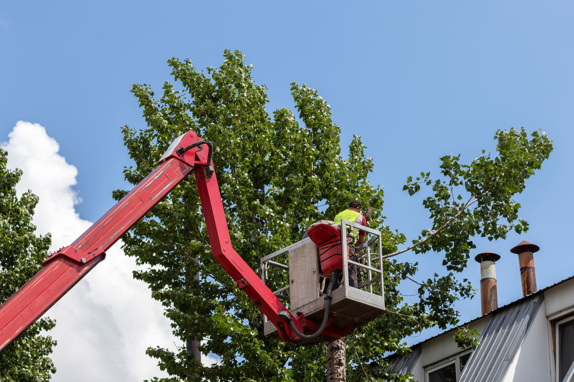 Ricks Tree Service Inc gallery 5