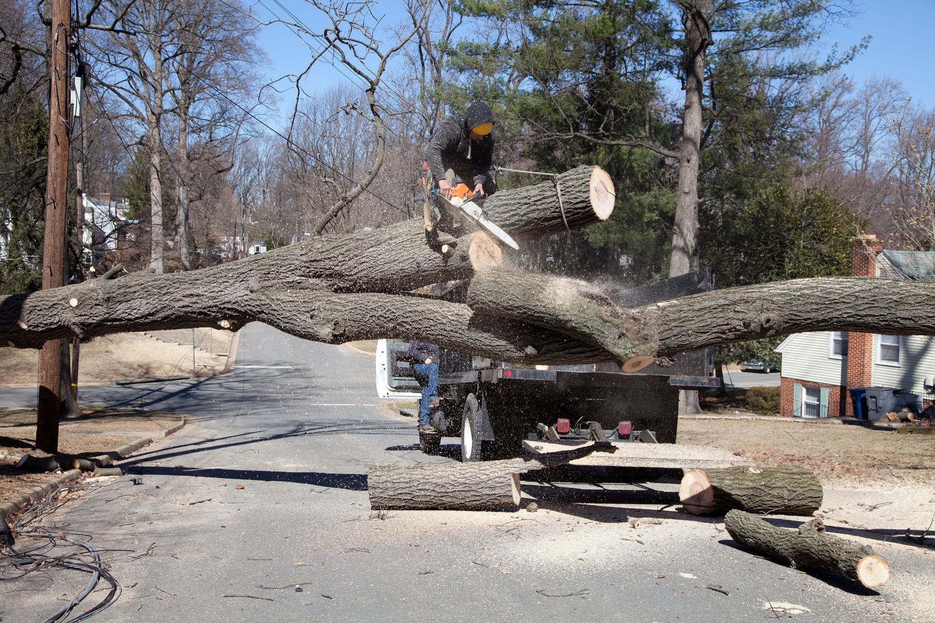 A person uses a chainsaw to cut a large tree trunk that has fallen across a residential street.