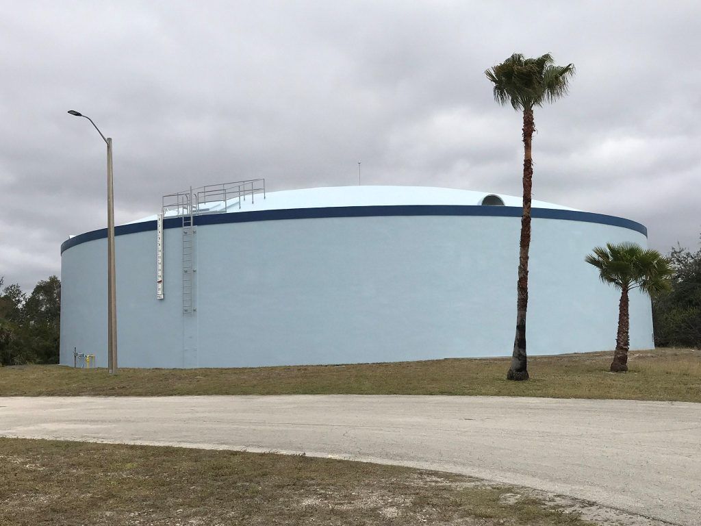 Tall Tree — Fort Myers, FL — Sons Of Monaco Painting