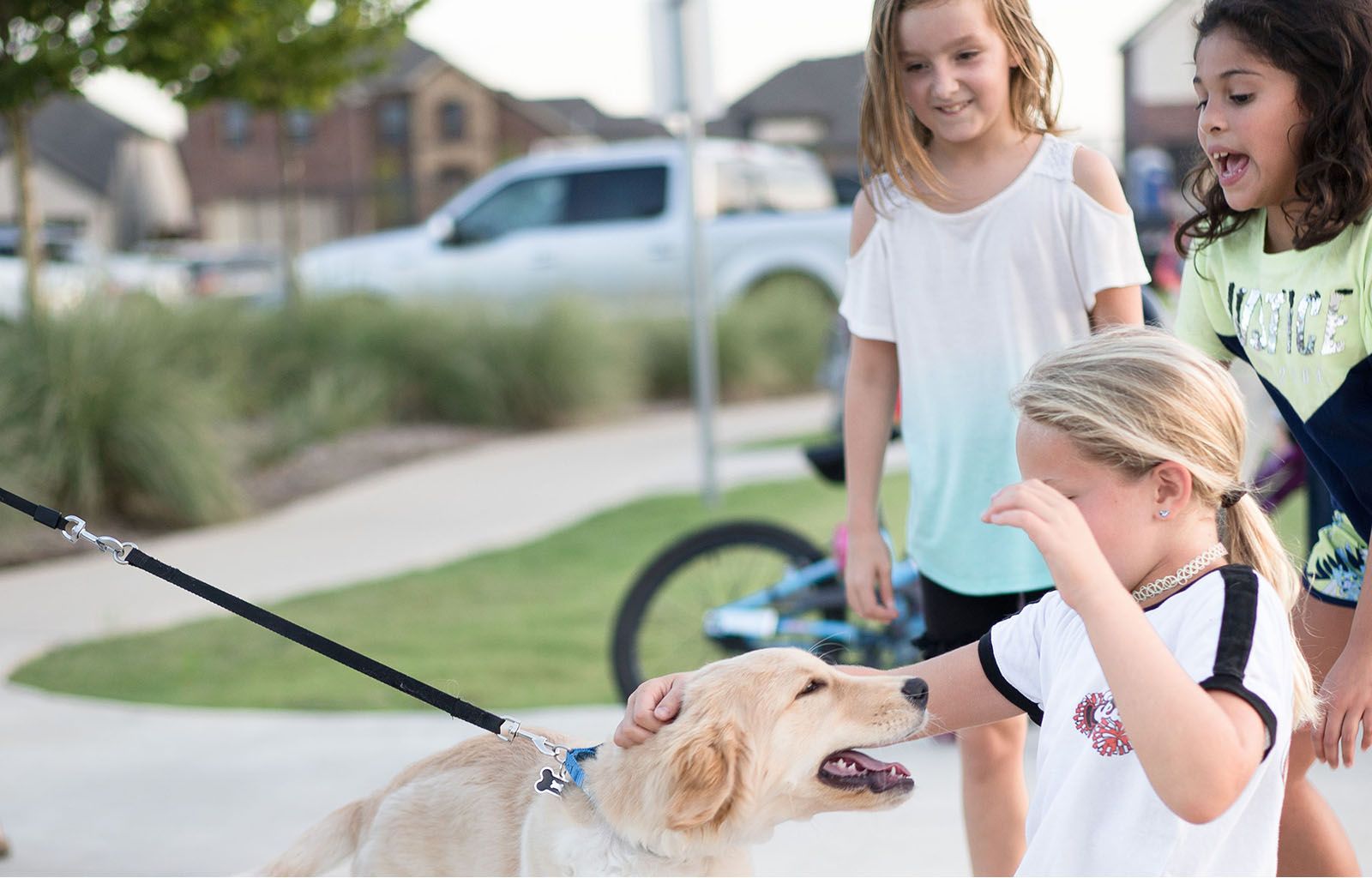 Children Petting Dog | Morningstar Homes
