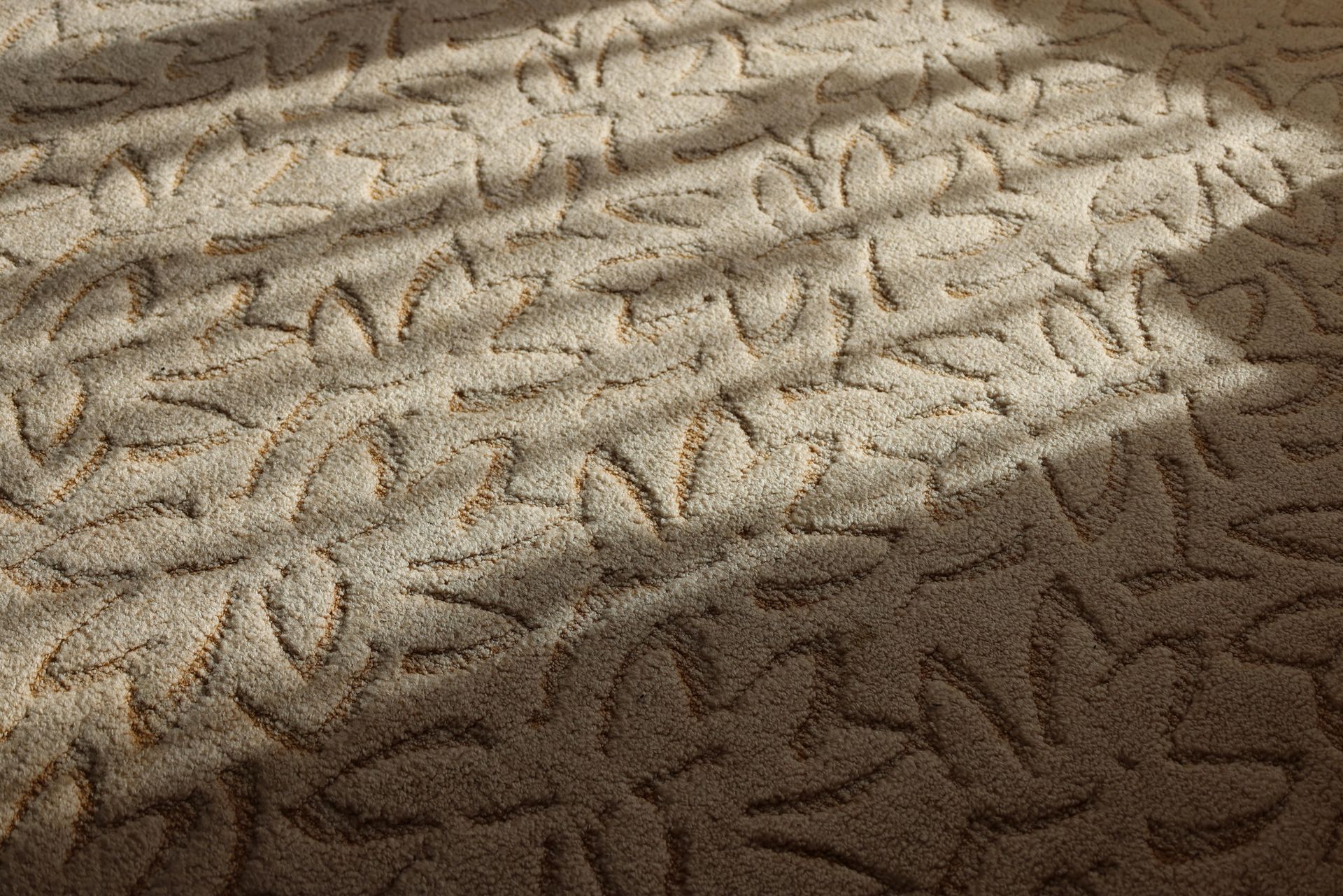 Beige carpet with a repeating leaf pattern, highlighted by bright sunlight casting diagonal shadows across its texture.