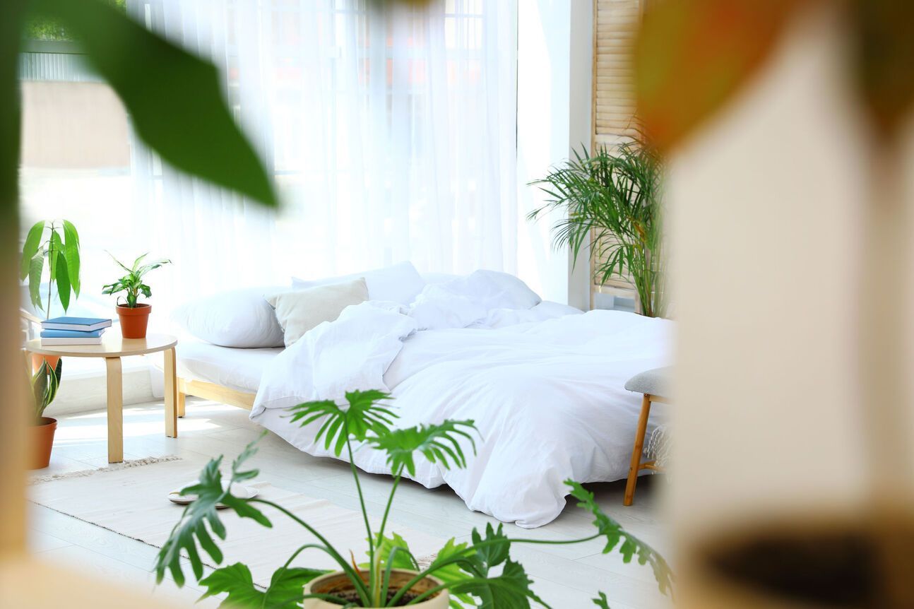 Bright bedroom with white bedding, plants, and natural light streaming through a sheer curtain. Small side table with a plant visible.